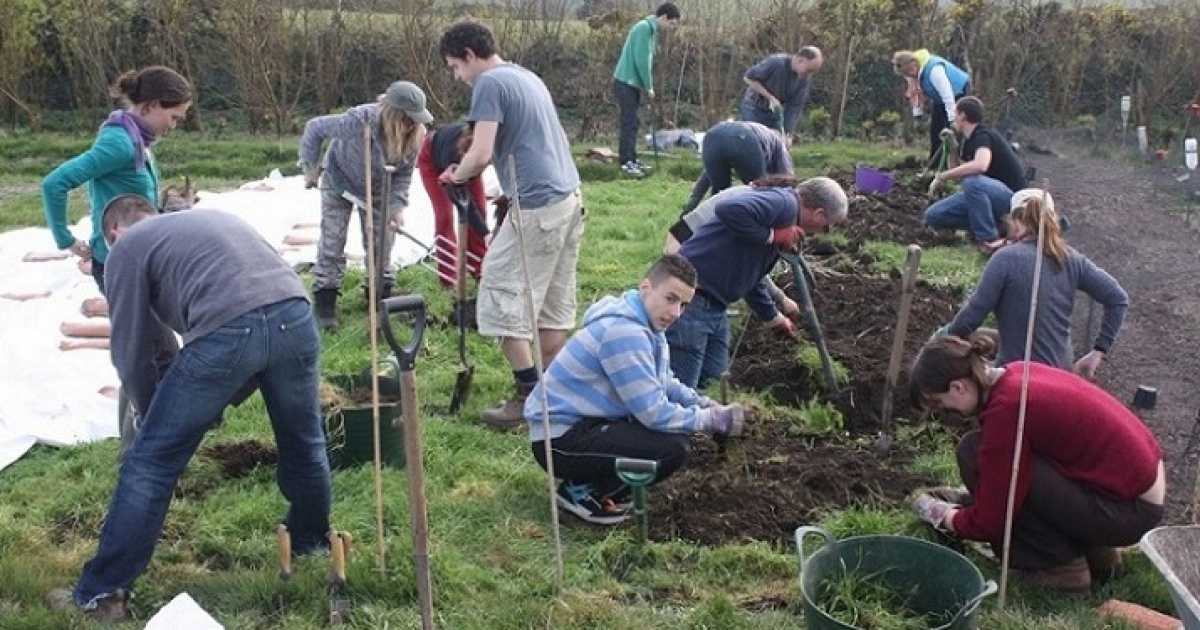 Il "WwooFing": lavoro gratis nei campi in cambio di vitto e alloggio in fattoria